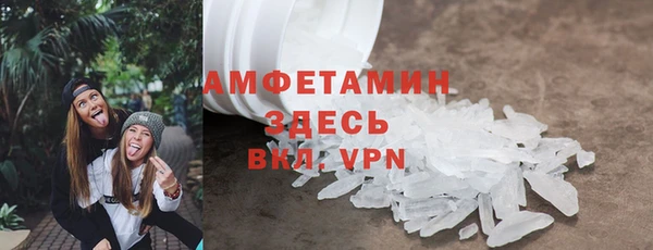 индика Майский
