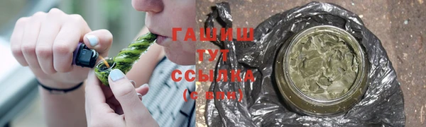 индика Майский