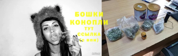 индика Магадан