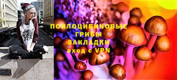 индика Майский