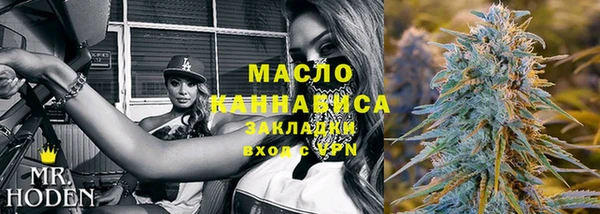 индика Майский
