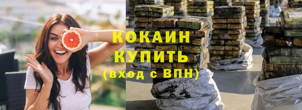 индика Майский