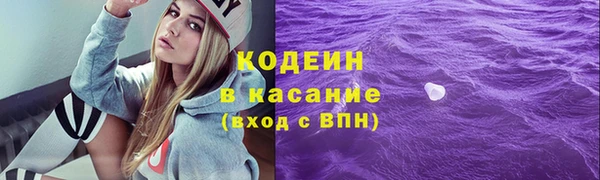 индика Майский