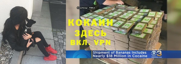 индика Майский